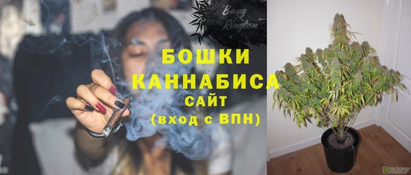 сатива Киреевск