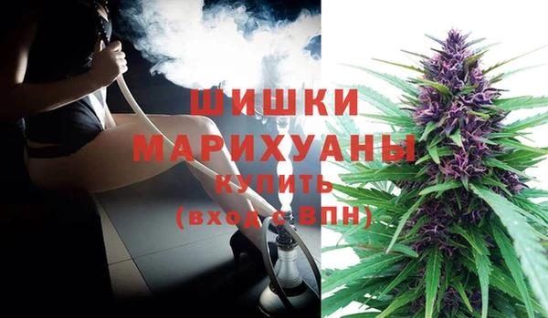 сатива Киреевск